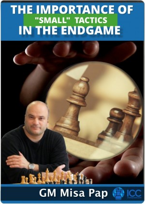 Endgame Renaissance - Practical Chess Endgames for Club Players - 2 DVDs