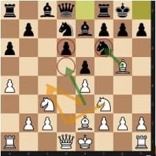 Roman's Lab Chess DVD – The encyclopedia of chess openings - Online Chess  Courses & Videos in TheChessWorld Store